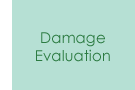 	Damage Evaluation 